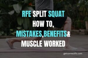 rfe split squat